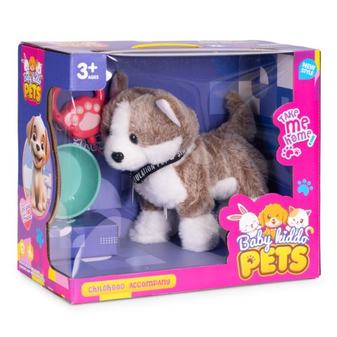 Interaktywny piesek na smyczy husky chodzi i merda ogonem melodyjki