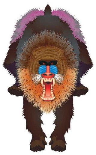 Latawiec Brainstorm - Wns Rainforest 44x28" Nylon Mandrill