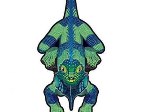 Latawiec Brainstorm - Wns Rainforest Nylon Iguana