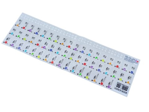 Naklejki Na Klawisze, Nuty Na Keyboard, Pianino, Do Nauki Gry Kolor