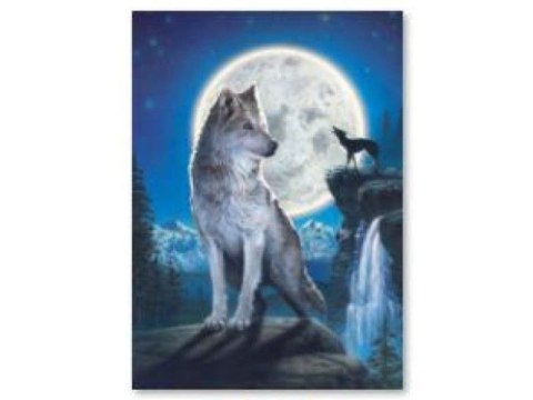 Haft Diamentowy, Obraz, Mozaika Diamentowa Diamond Painting, Wilk 30x40cm