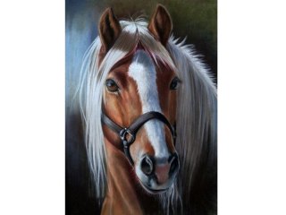 Haft Diamentowy, Obraz, Mozaika Diamentowa Diamond Painting, Dostojny Koń 30x40cm