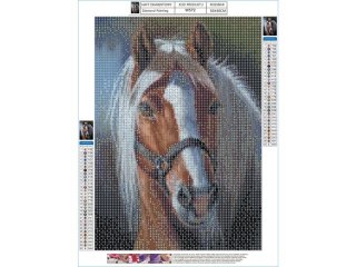Haft Diamentowy, Obraz, Mozaika Diamentowa Diamond Painting, Dostojny Koń 30x40cm