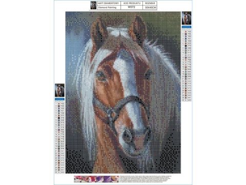 Haft Diamentowy, Obraz, Mozaika Diamentowa Diamond Painting, Dostojny Koń 30x40cm