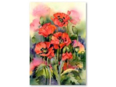 Haft Diamentowy, Obraz, Mozaika Diamentowa Diamond Painting, Maki 30x40cm