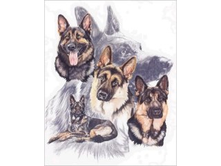 Haft Diamentowy, Obraz, Mozaika Diamentowa Diamond Painting, Owczarki Niemieckie 30x40cm