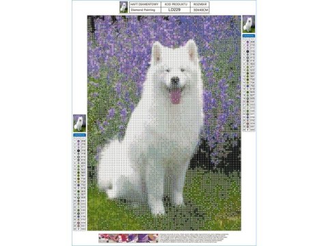 Haft Diamentowy, Obraz, Mozaika Diamentowa Diamond Painting, Pies Samoyed 30x40cm