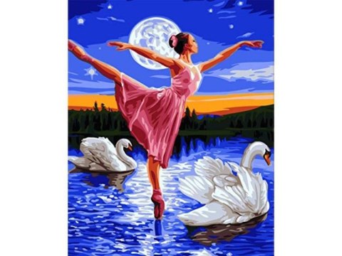 Obraz Malowanie Po Numerach Rama 40x50cm Jezioro Łabędzie