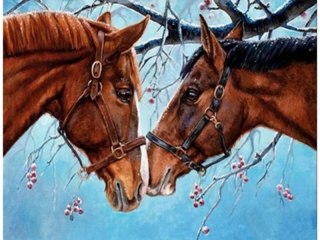 Obraz Malowanie Po Numerach Rama 50x40cm Dwa Konie