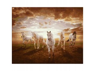 Obraz Malowanie Po Numerach Rama 50x40cm Konie W Galopie