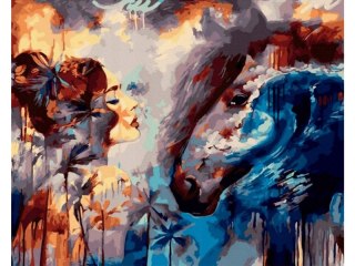 Obraz Malowanie Po Numerach Rama 50x40cm Spojrzenie - Kobieta I Koń