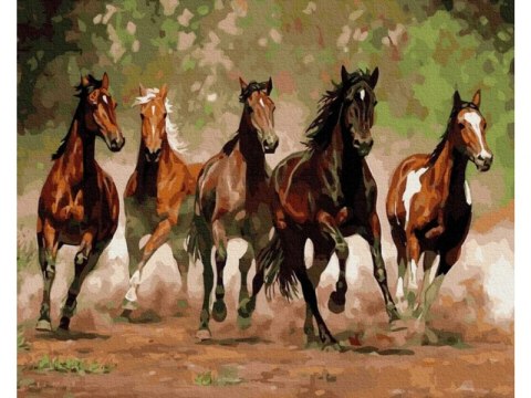 Obraz Malowanie Po Numerach Rama 50x40cm Stado Dzikich Koni