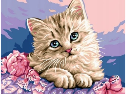 Obraz Malowanie Po Numerach Rama 50x40cm Uroczy Kotek