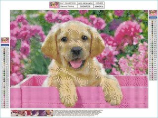 Haft Diamentowy, Obraz, Mozaika Diamentowa Diamond Painting, Biszkoptowy Labrador Pies 40x30cm
