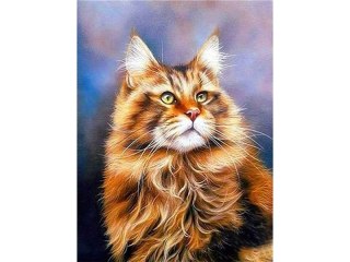 Haft Diamentowy, Obraz, Mozaika Diamentowa Diamond Painting, Rudy Maine Coon 30x40cm